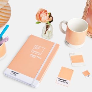 pantone_11_02_23_lifestyle_special_arrangement